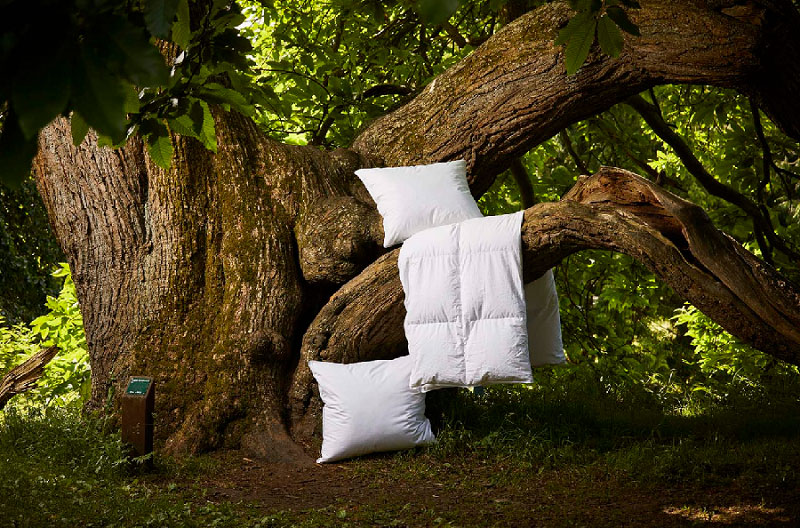 Quilts of Denmark: New range DanaDream Memory Foam Classic Pillow